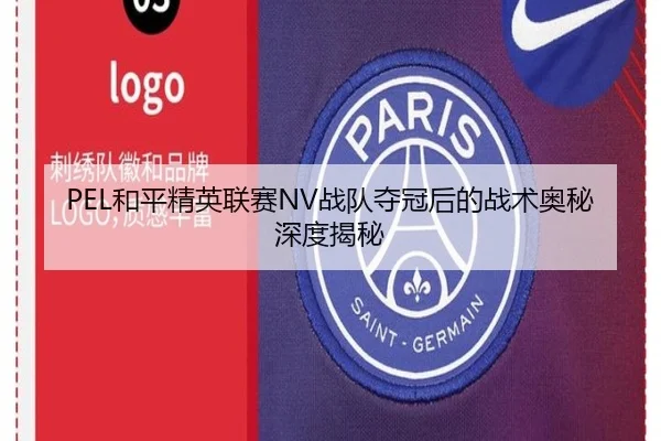 PEL和平精英联赛NV战队夺冠后的战术奥秘深度揭秘