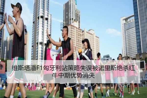 维斯塔潘F1匈牙利站策略失误被诺里斯绝杀红牛中期优势消失